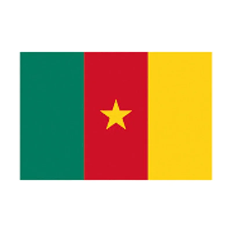 5 x 3 cameroon flag