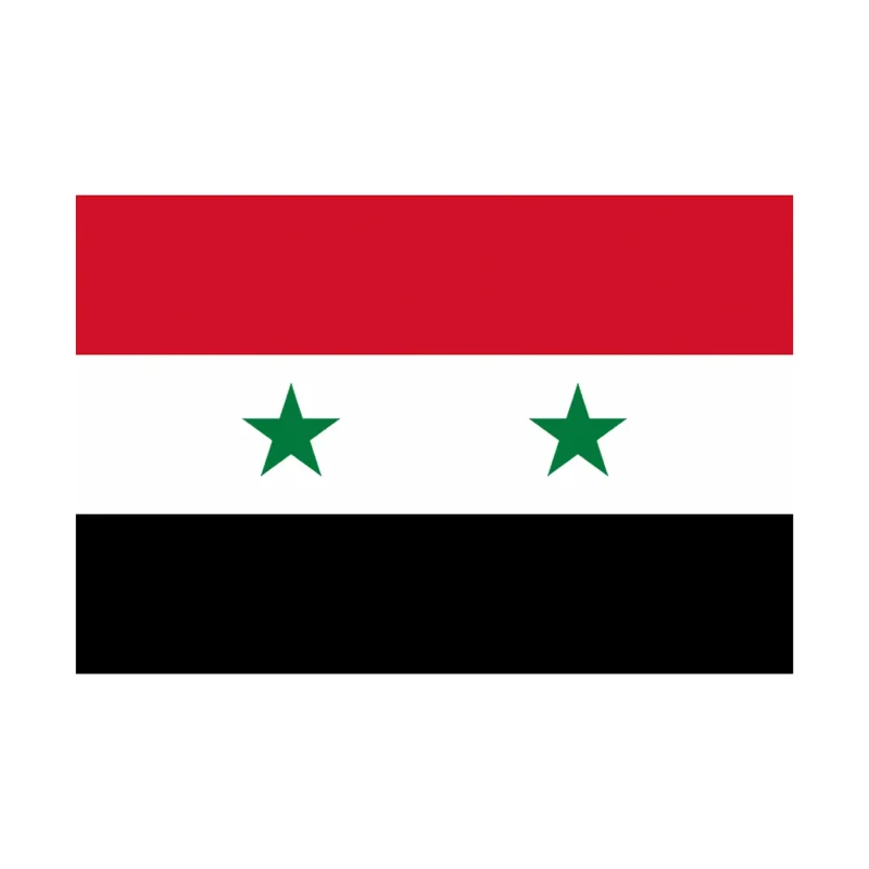 5 x3 syria flag for sale