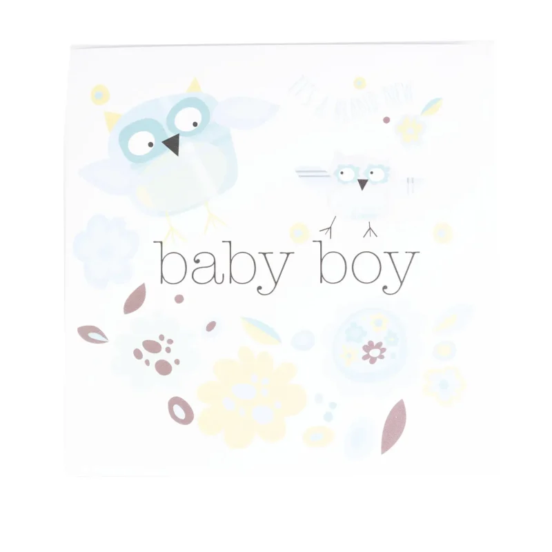 adorable baby boy owl postcard