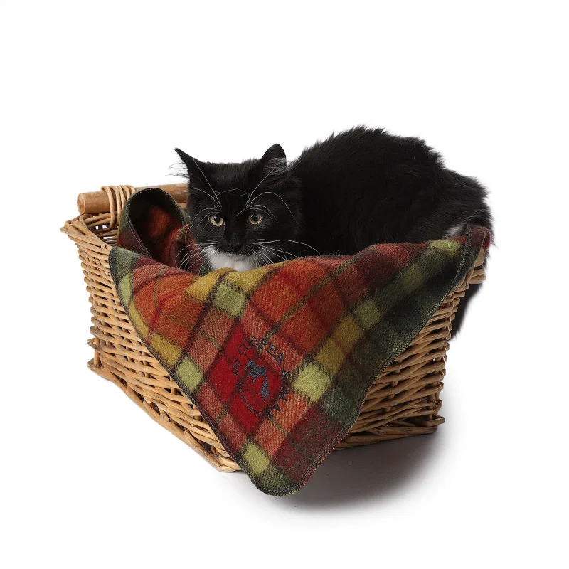 autumn buchanan tartan pet blanket