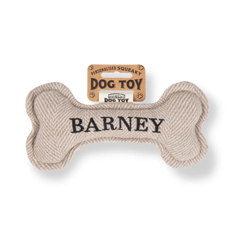 barney squeaky bone dog toy