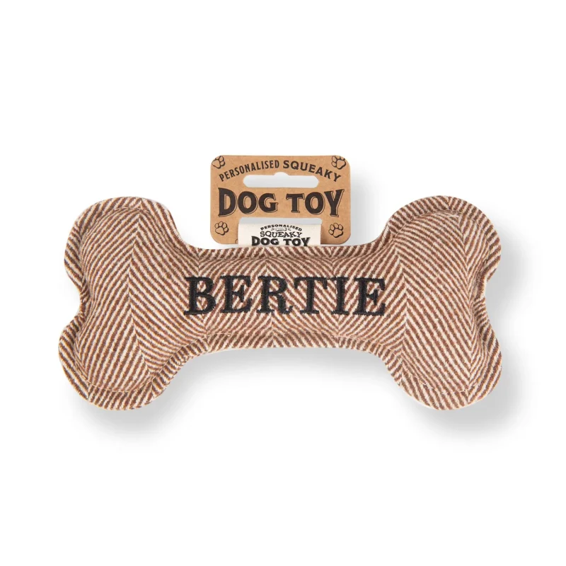 bertie squeaky bone dog toy