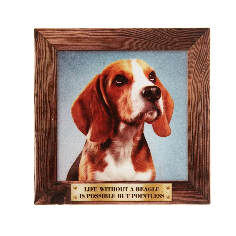 big beagle fridge magnet for pets