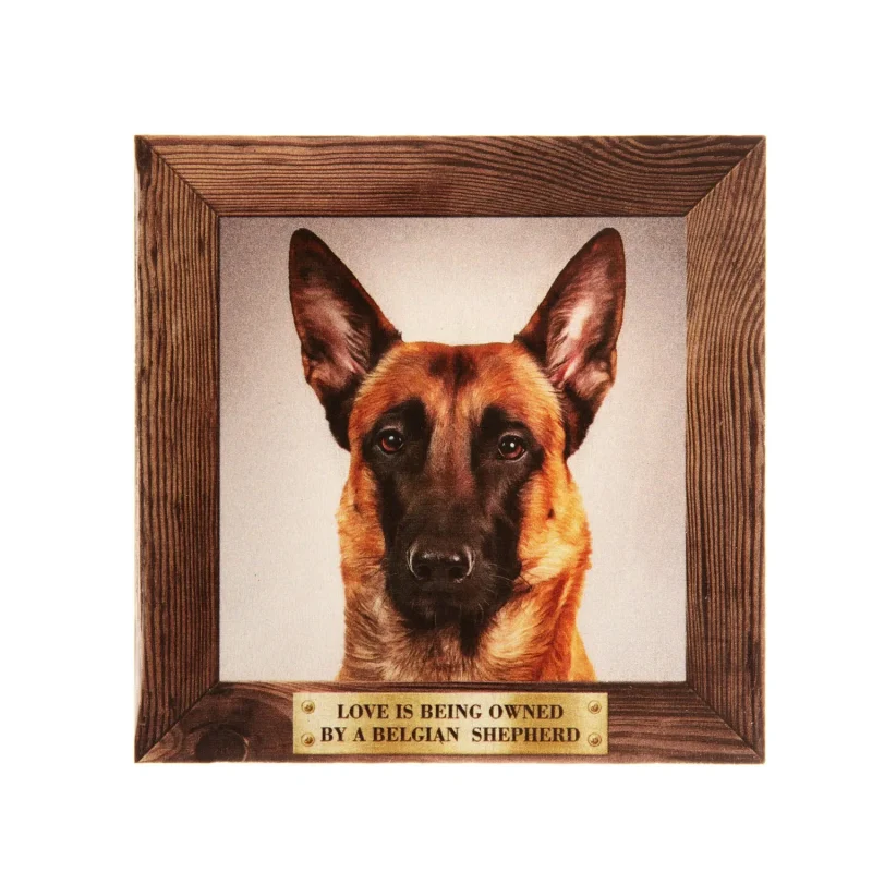 big belgian shepherd pet fridge magnet