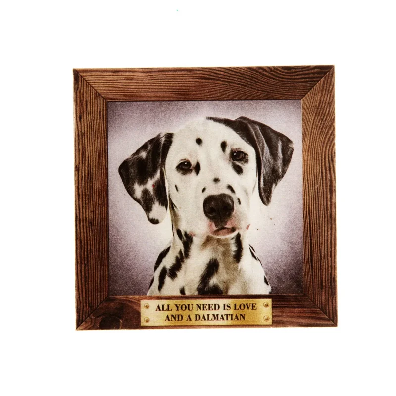 big dalmatian pet fridge magnet