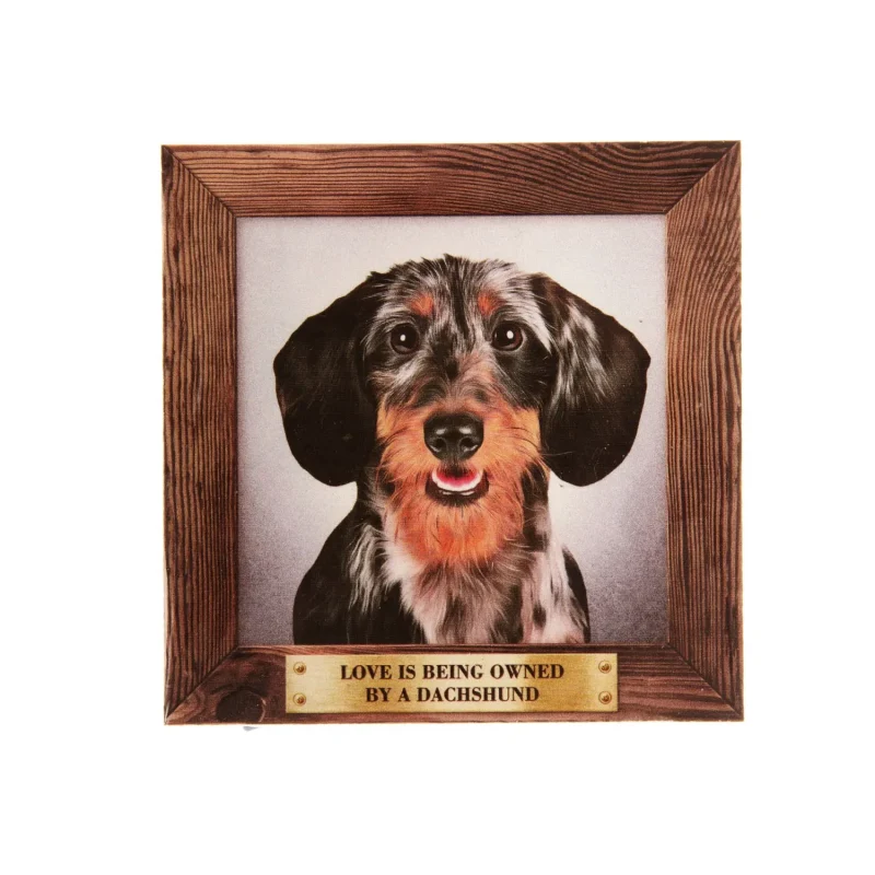 big wirehaired dachshund fridge magnet