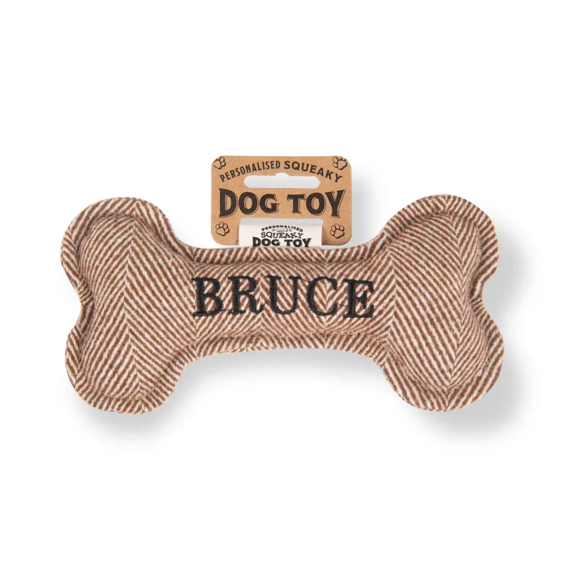 bruce squeaky bone dog toy