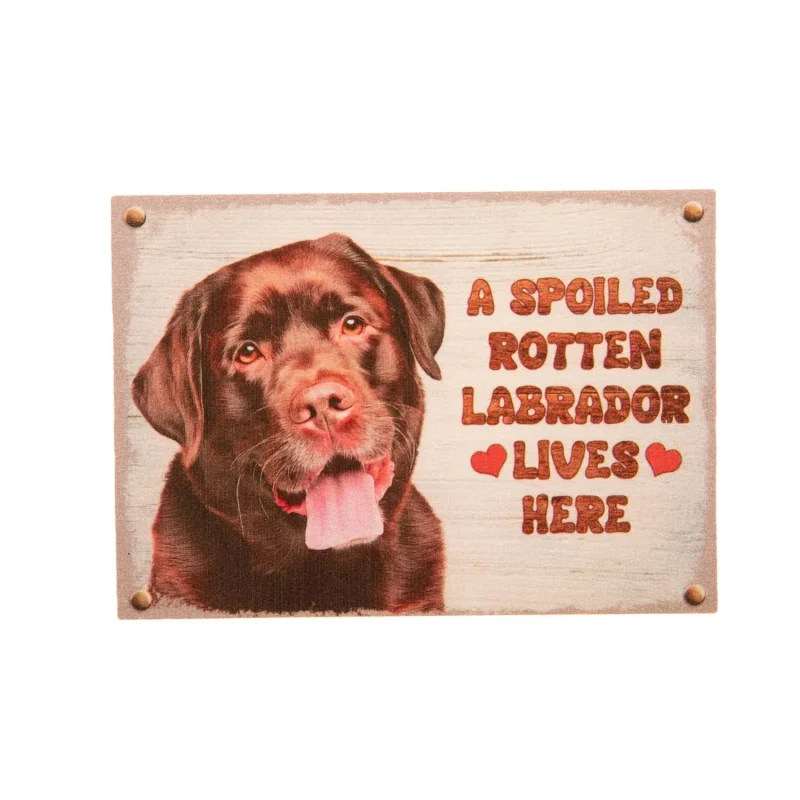 chocolate labrador pet fridge magnet small