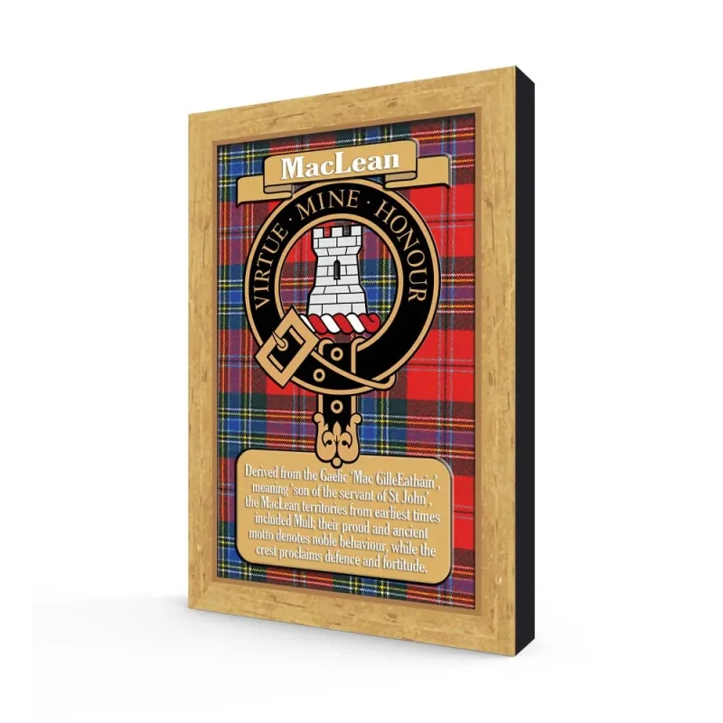 clan maclean books collection