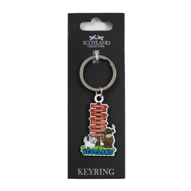 colorful metal signpost keyring