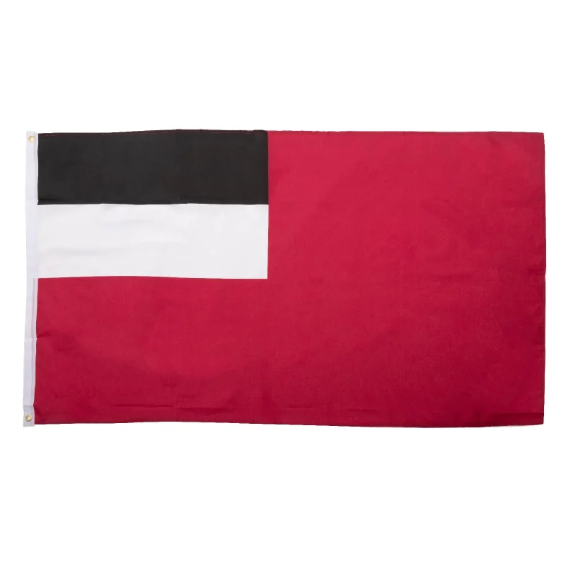 georgia flag 5