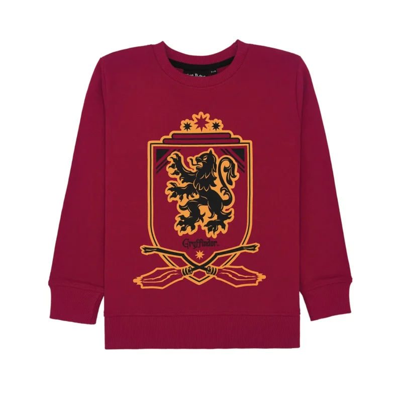 gryffindor quidditch kids hoodie