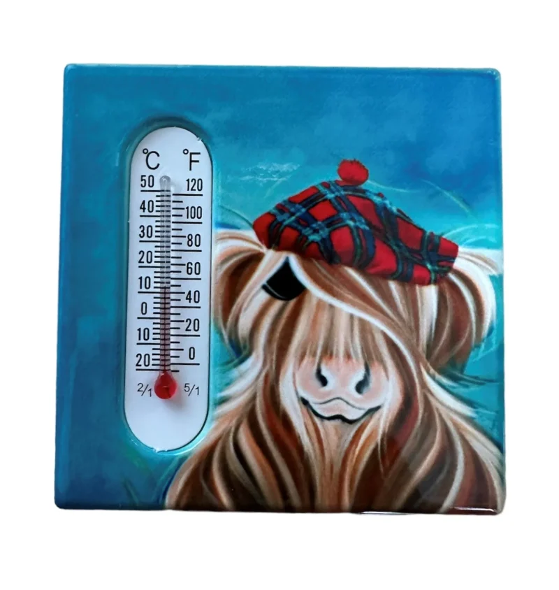 hamish high precision magnet thermometer