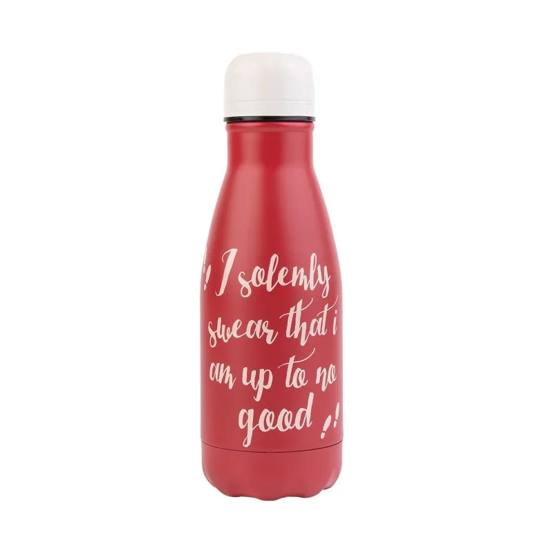 harry potter 260ml metal insulated bottle