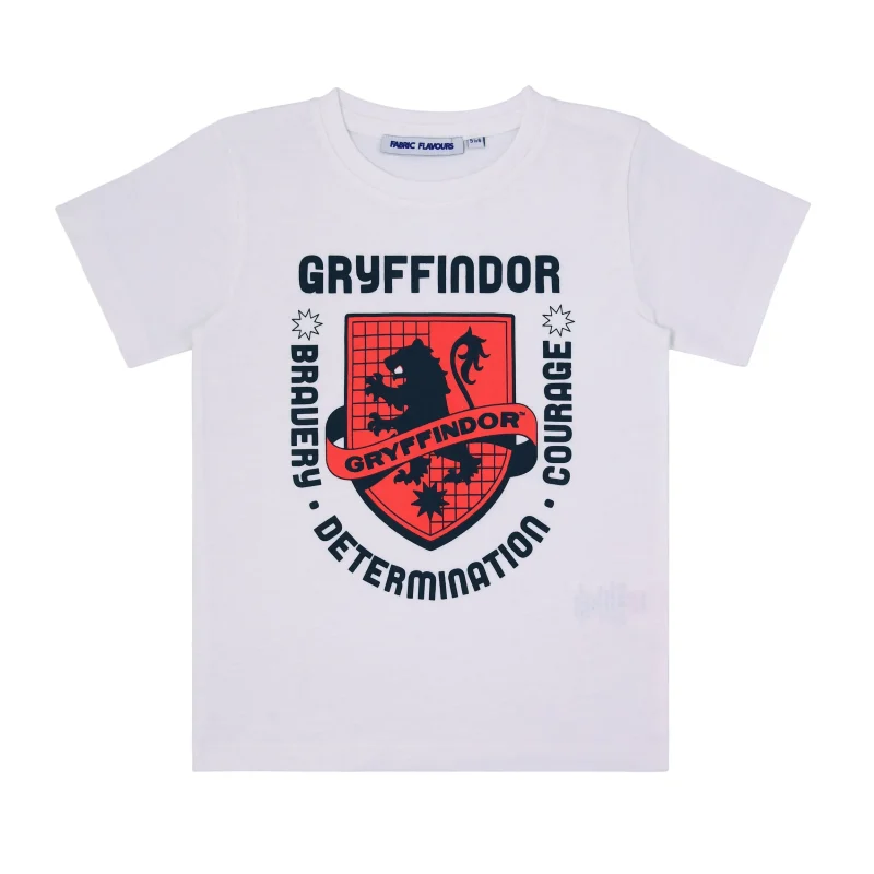 harry potter gryffindor kids t shirt