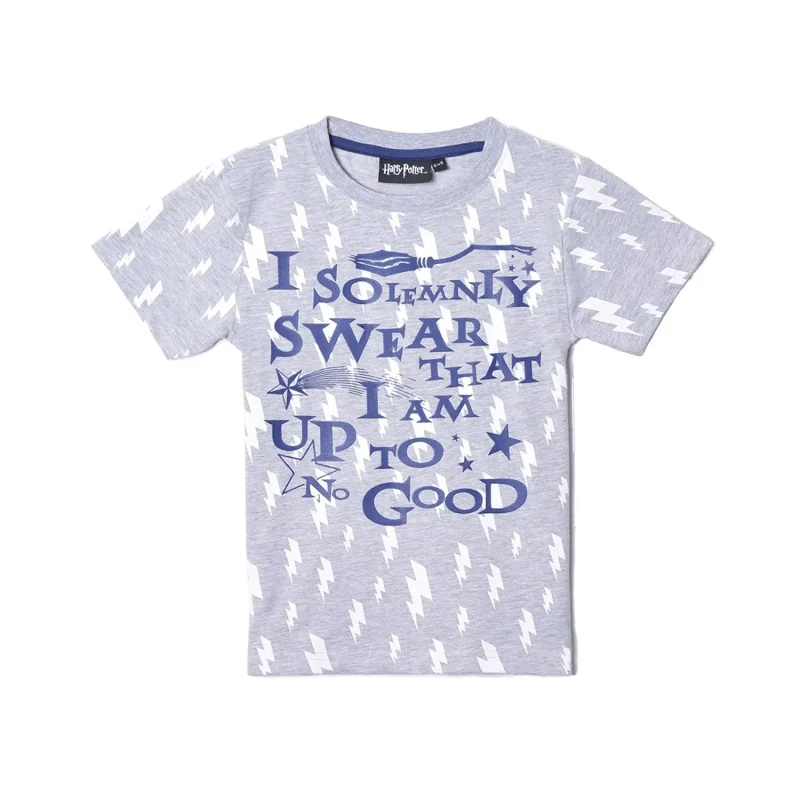 harry potter i solemnly swear kids t shirt