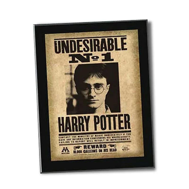 harry potter wanted poster plaque