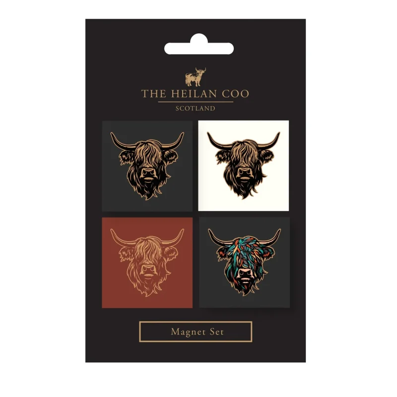 heilan coo 4 piece magnetic tile set