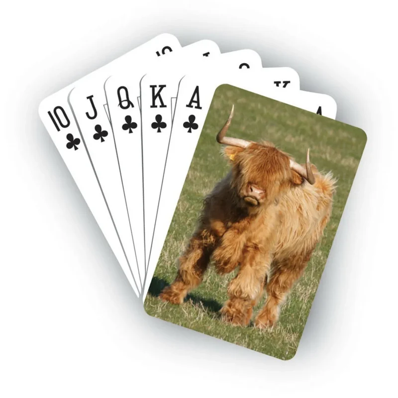 highland cow playing cards