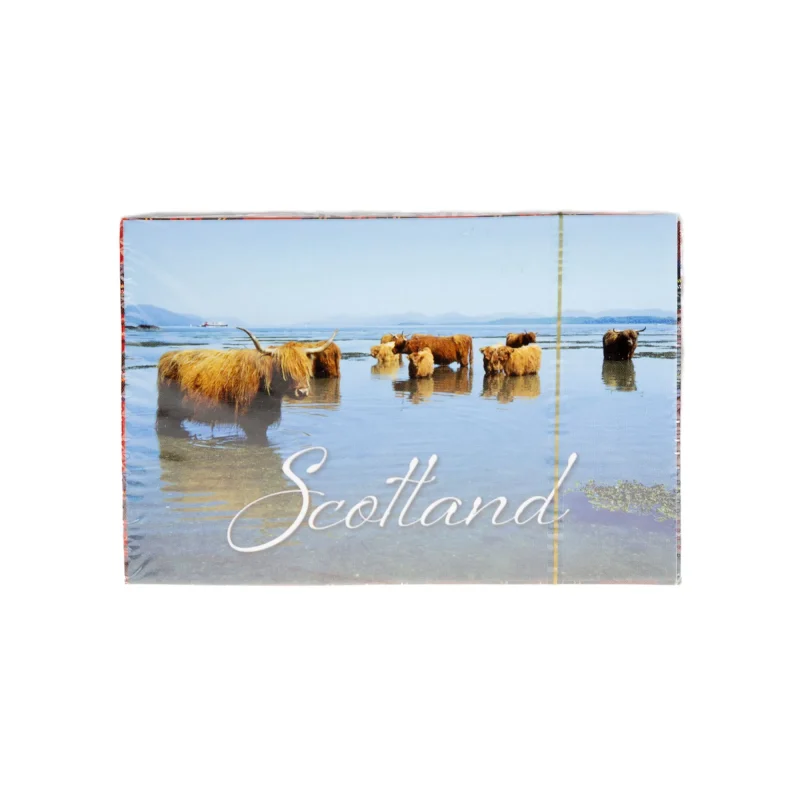 highland cows premium playing cards