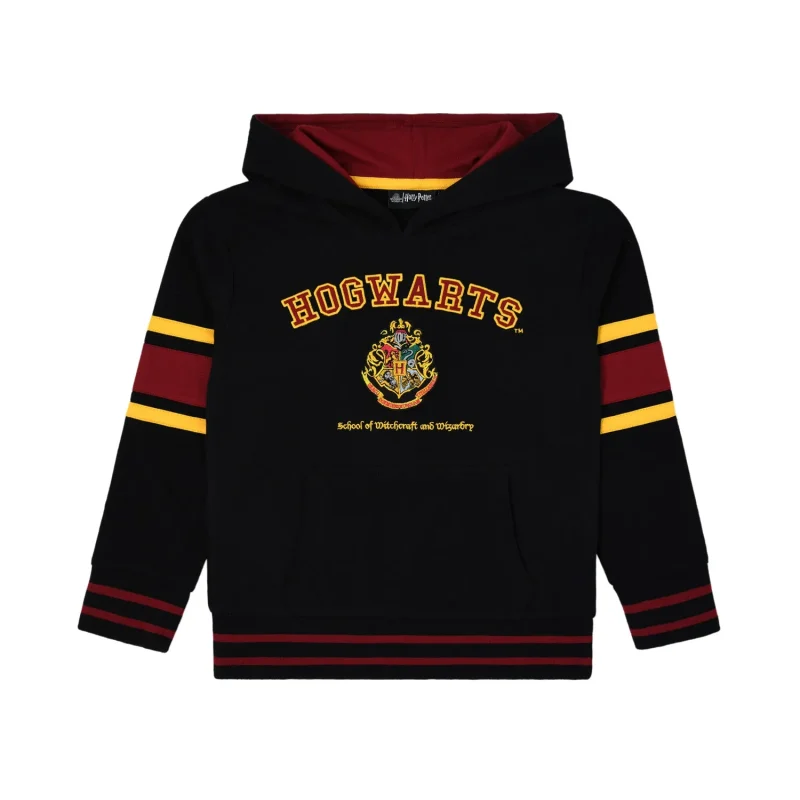 hogwarts wizardry kids hoodie