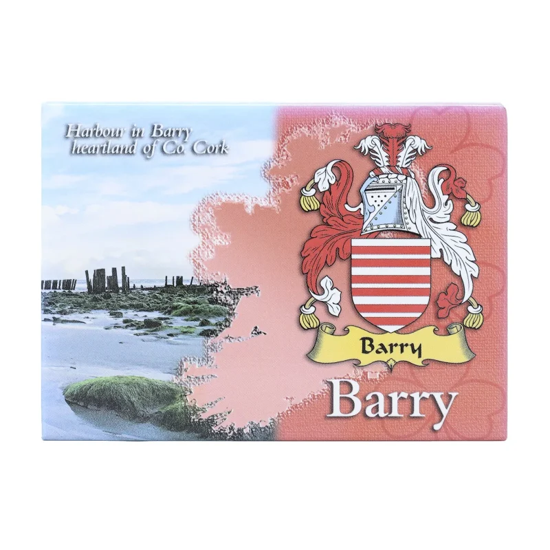 ireland barry scenic metallic magnet