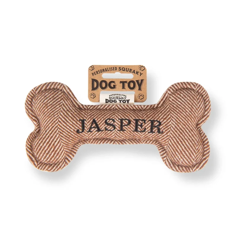 jasper squeaky bone dog toy for playtime