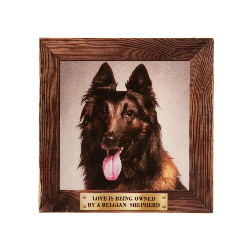 large belgian shepherd longhair fridge magnet