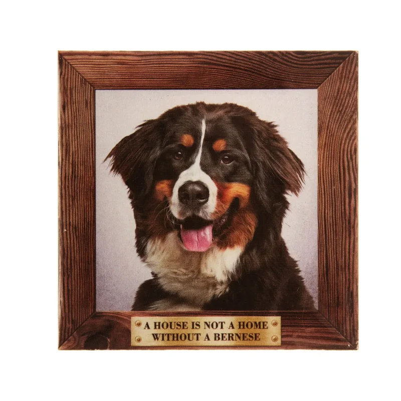 large bernese mountain dog fridge magnet