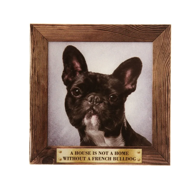 large black white french bulldog fridge magnet