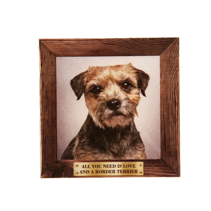 large border terrier fridge magnet