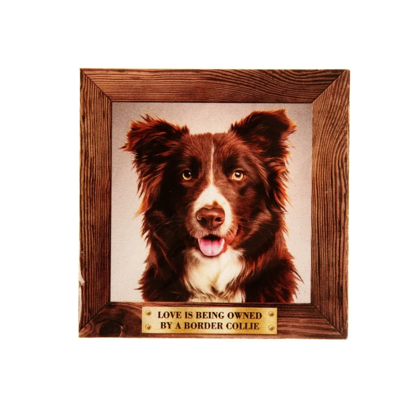 large brown border collie pet fridge magnet