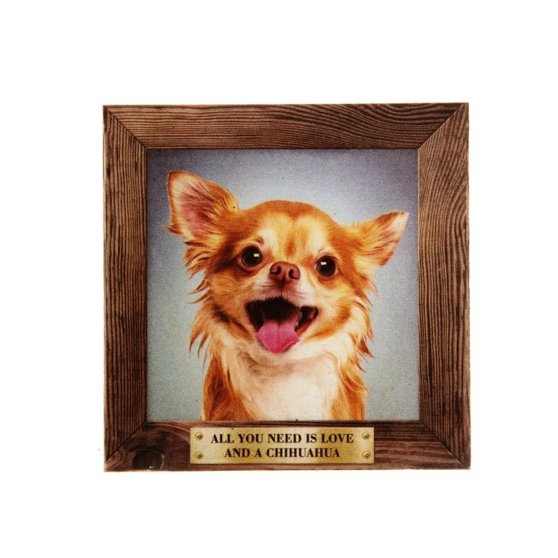 large chihuahua pet fridge magnet