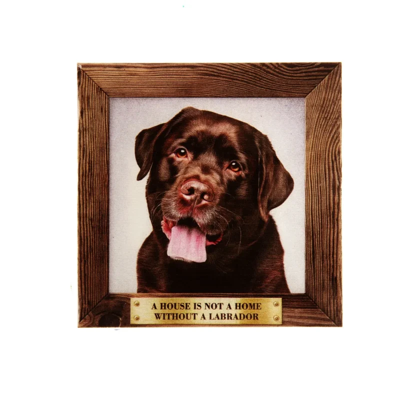 large chocolate labrador fridge magnet