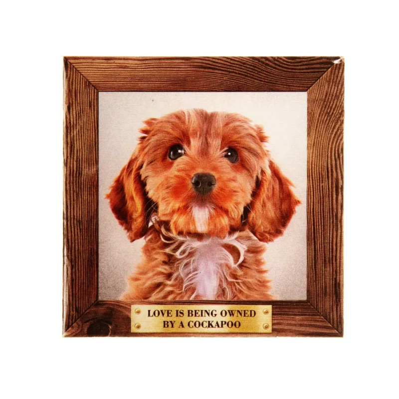 large cockapoo fridge magnet for pet lovers