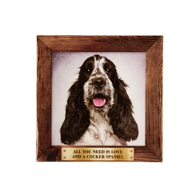 large cocker spaniel pet magnet black white