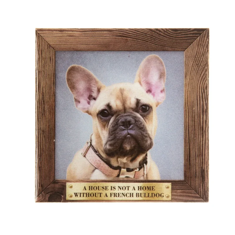 large french bulldog fawn fridge magnet