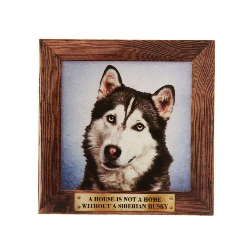 large husky refrigerator magnet