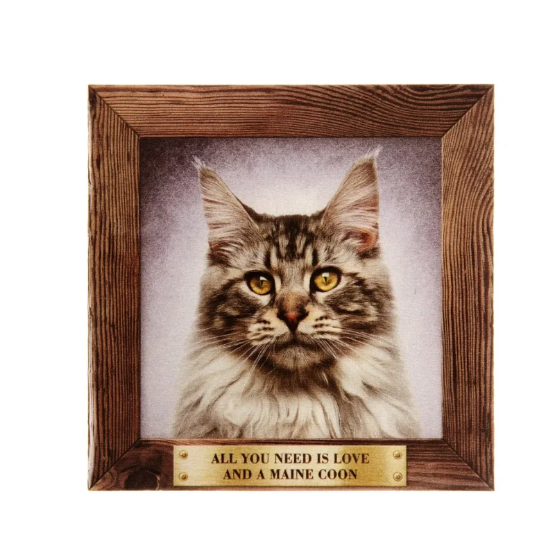 large maine coon pet fridge magnet