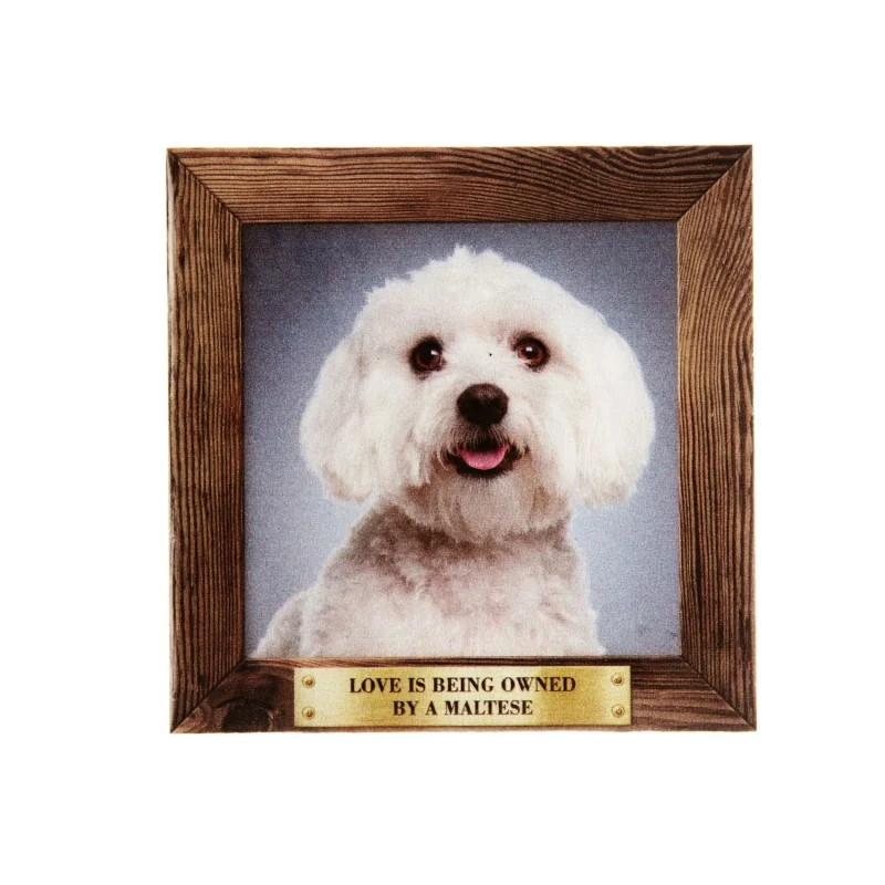 large maltese pet fridge magnet