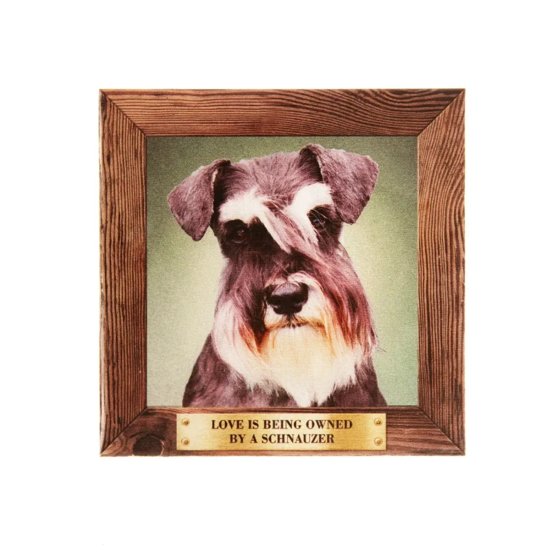 large schnauzer fridge magnet