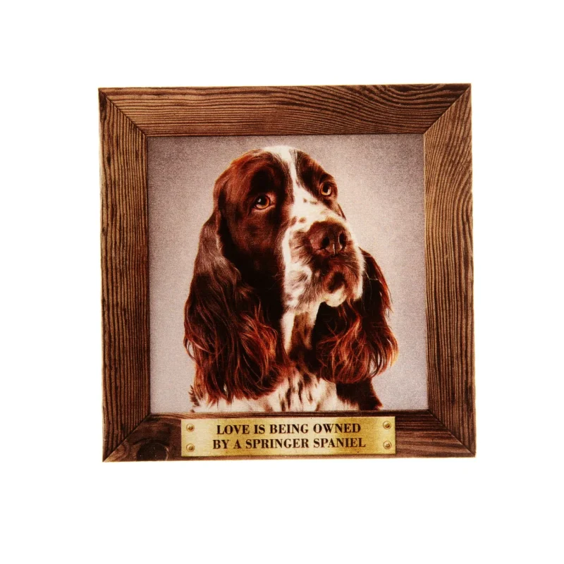 large springer spaniel fridge magnet