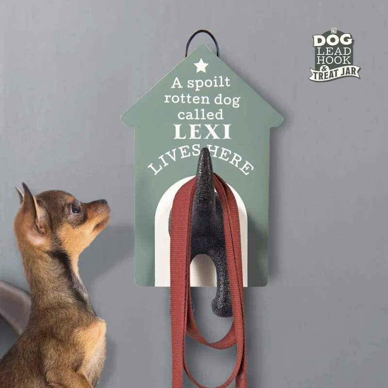 lexi dog lead hooks heavy duty leash hangers