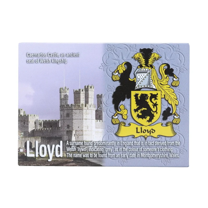 lloyd s wales ni eng scenic metallic magnet