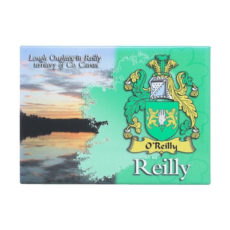 metallic ireland magnet scenic reilly design