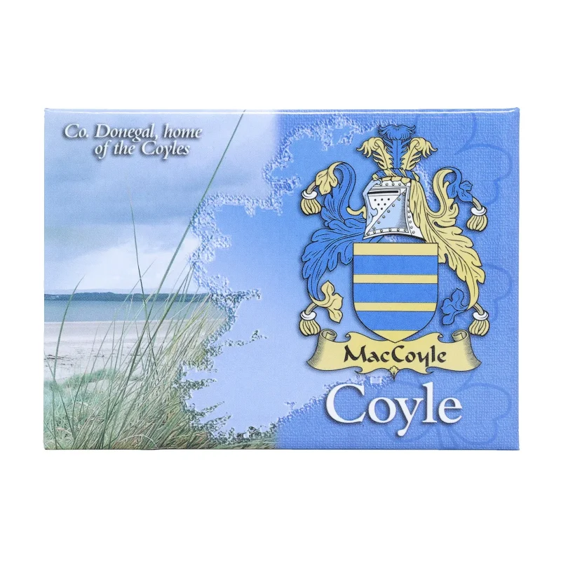 metallic ireland scenic magnet by coyle