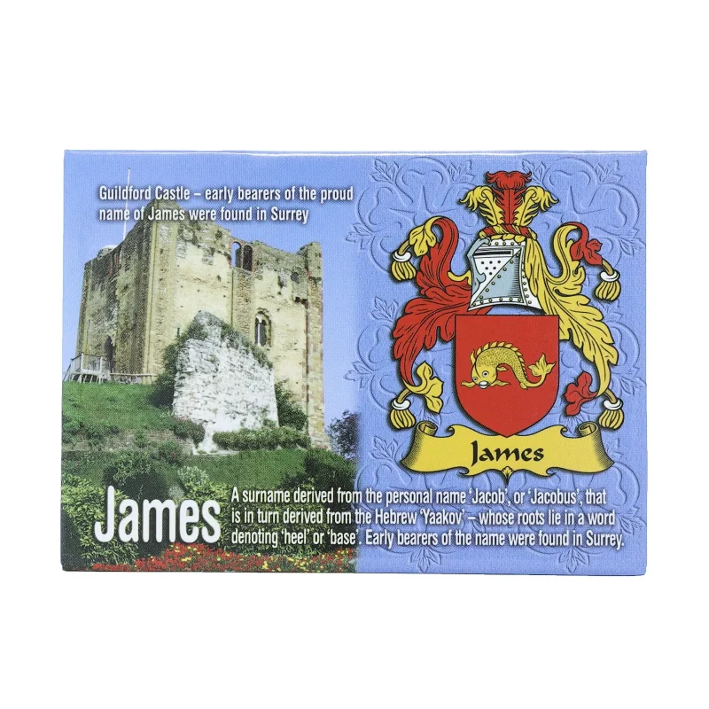 metallic magnet james ni s wales design