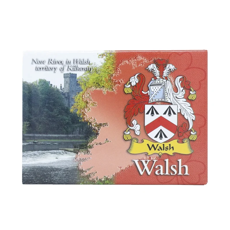 metallic scenic ireland magnet by walsh