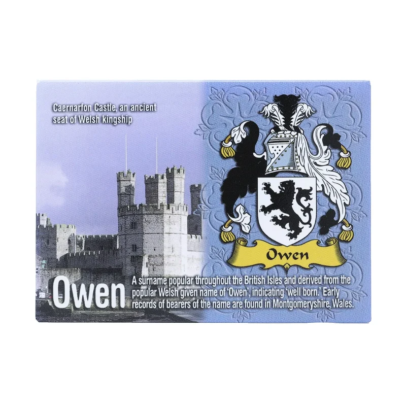 metallic wales magnet ni eng owen