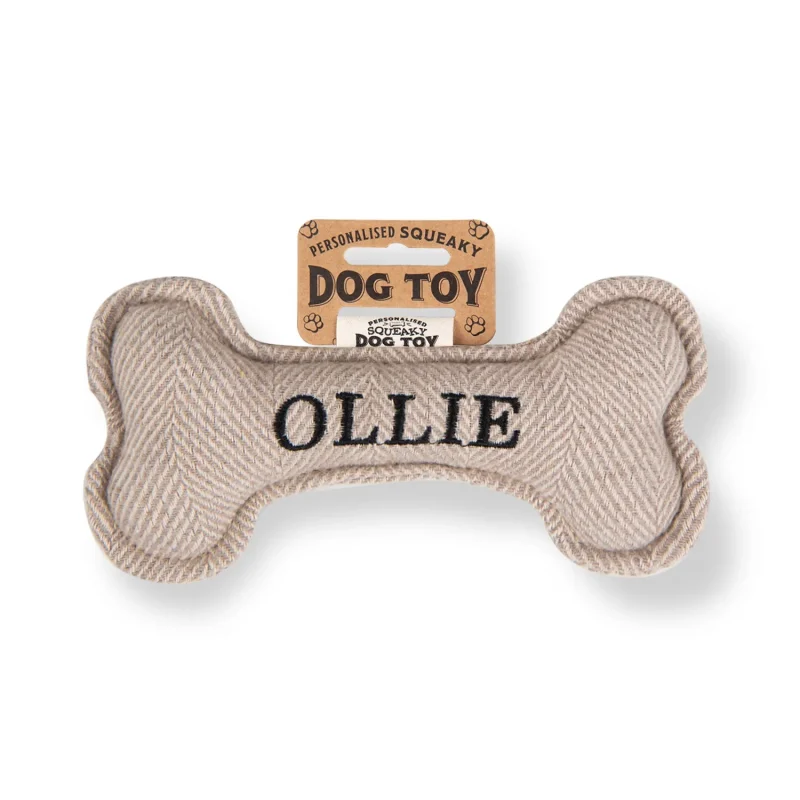 ollie squeaky bone dog toy